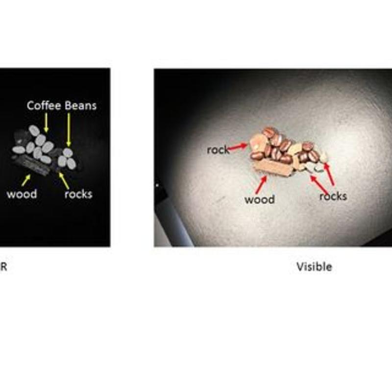 In the visible band image to the right, the coffee beans, rocks, and twigs are all brown or are dark in color on a black background. Under 1400-nm light, the coffee beans are very reflective, while the other objects are not, which enables the system to eliminate the contaminants easily.
